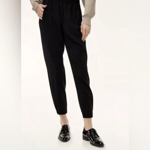 Aritzia Babaton Dexter Ankle Jogger Pants Black 
Sz Small
Excellent Condition
